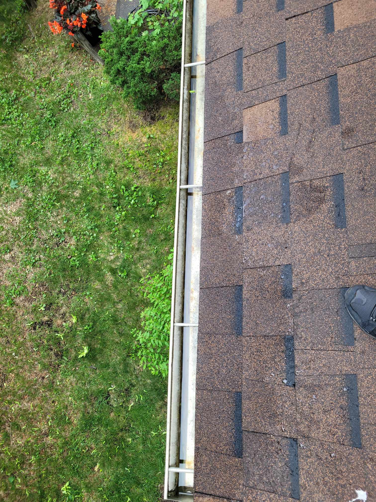 Professional gutter cleaning
