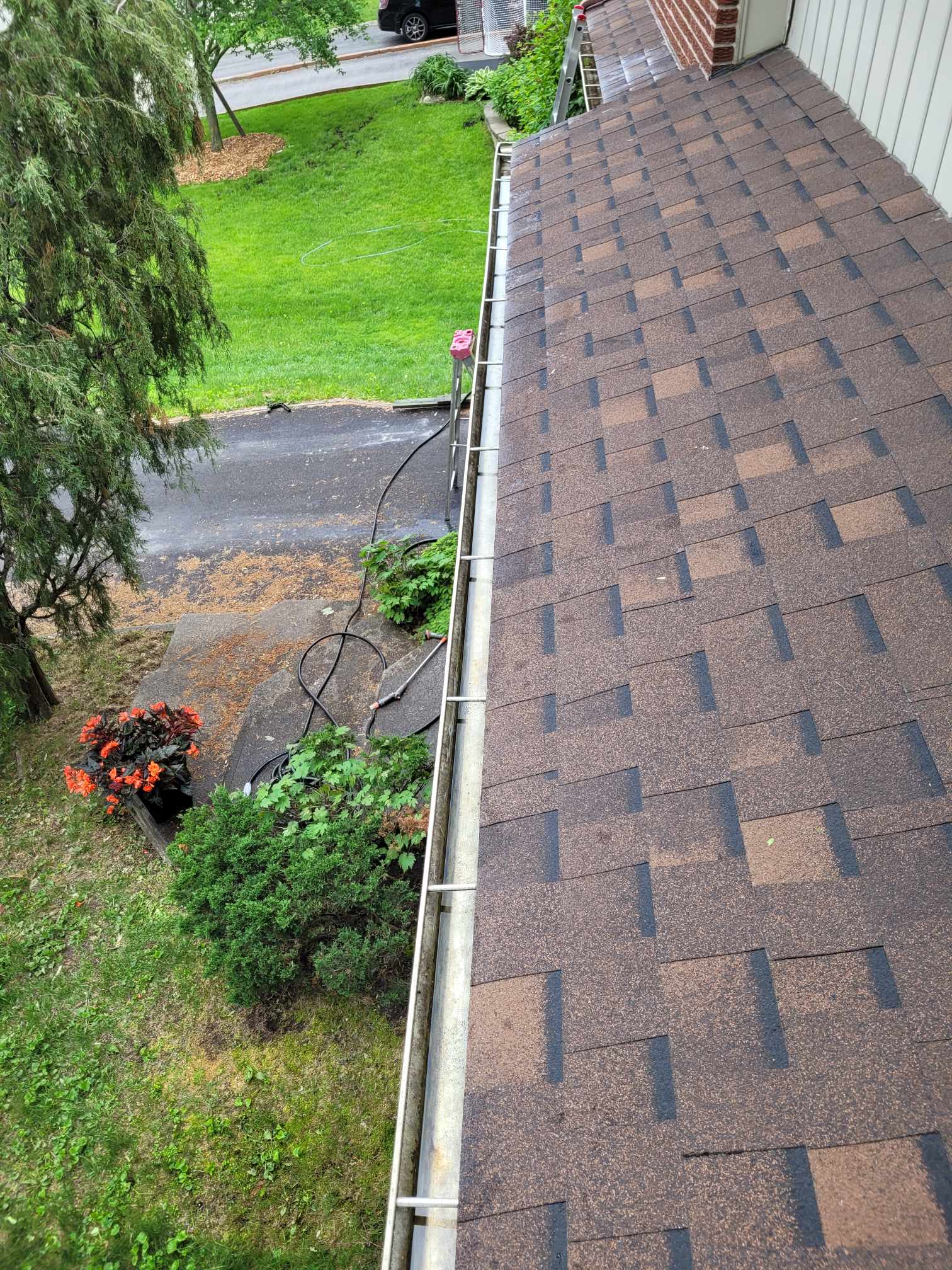 Gutter maintenance service