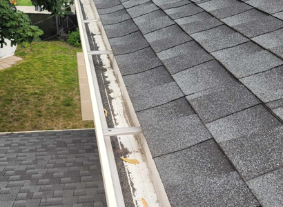 Gutter Cleaning